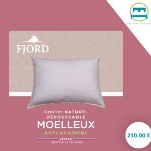 Oreiller NATUREL- moelleux Lestra Fjord - 65x65