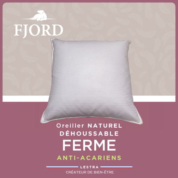 Oreiller NATUREL - ferme Lestra Fjord