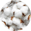 Coton supérieur