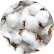 Coton supérieur